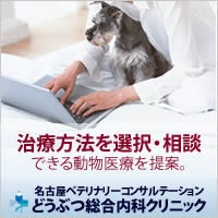 治療方法を選択・相談 できる動物医療を提案。 名古屋ベテリナリーコンサルテーション動物総合内科クリニック